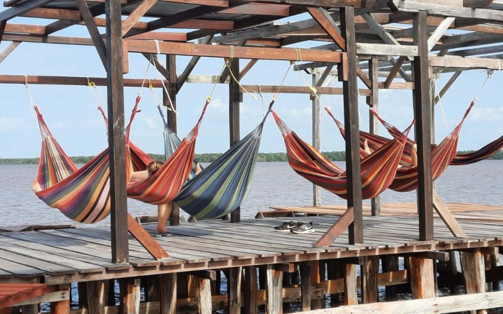 GINI back to the roots Suriname journey