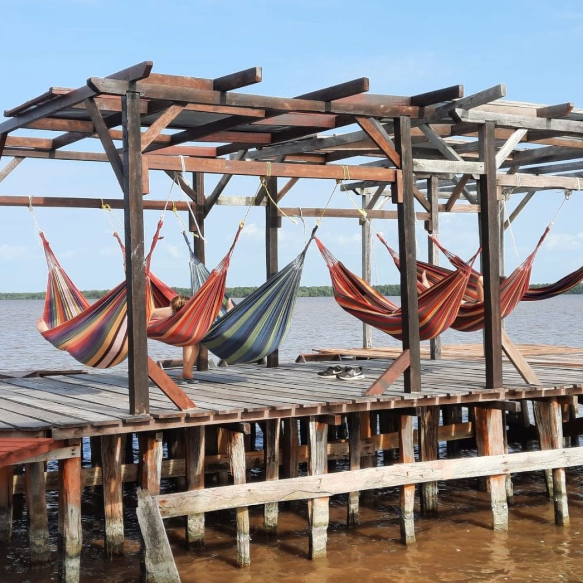 GINI back to the roots Suriname journey